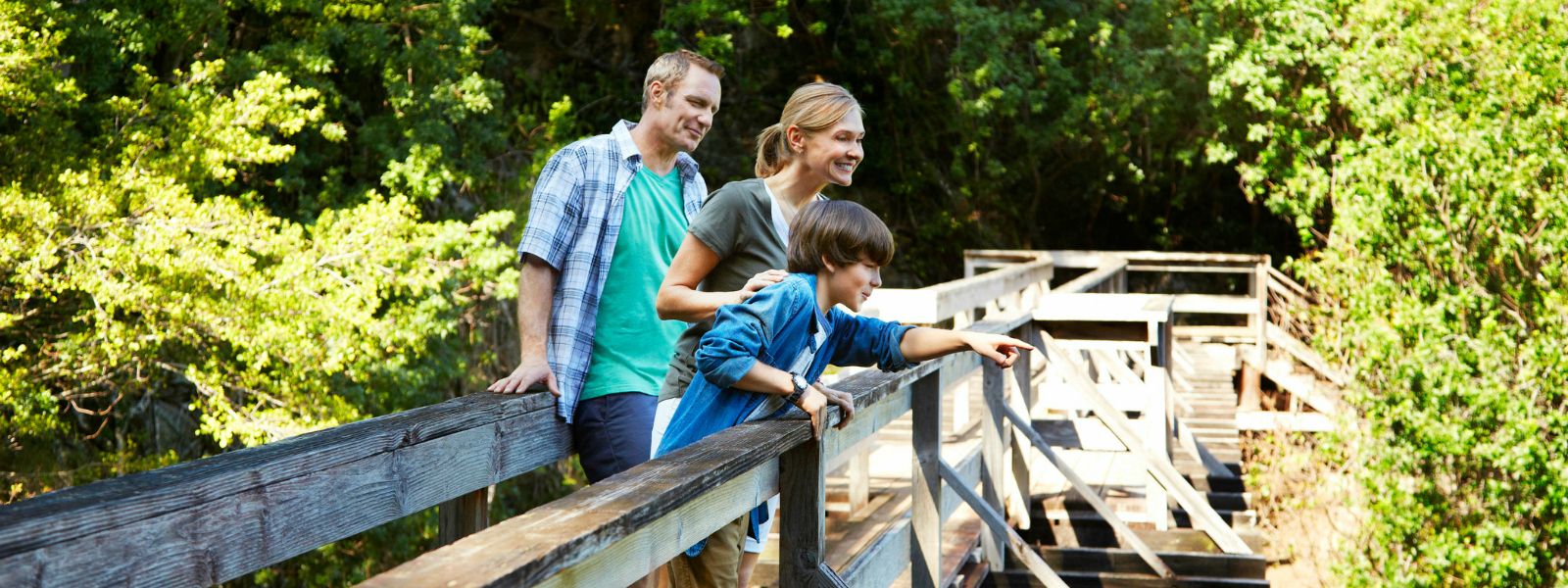 Calgary Zoo Package Sheraton Suites Calgary Eau Claire